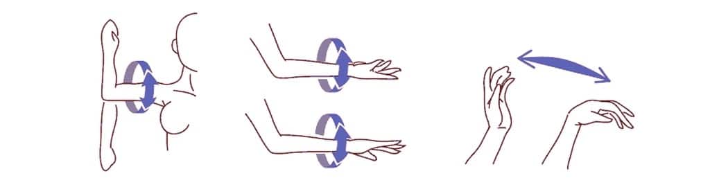 flexión muñeca muñeca sexual