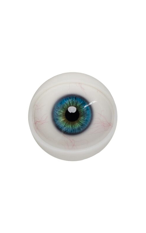 Olhos mecanizados para cabeças Hard Silicone ZELEX.