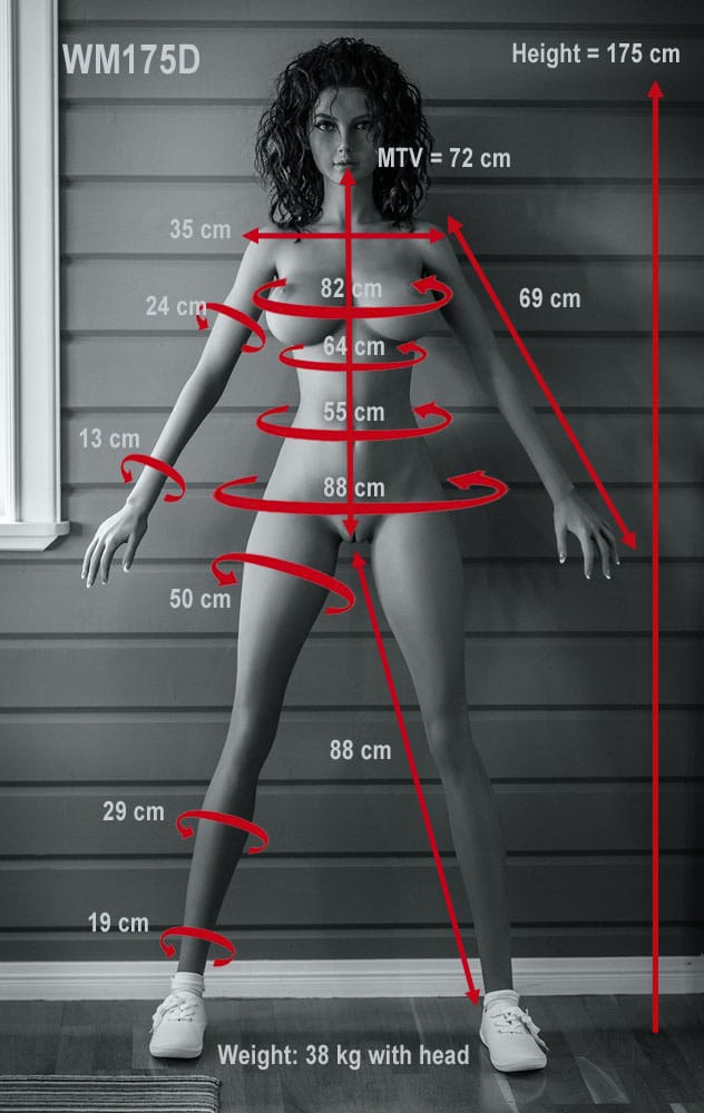 Lust 59 wm 175D measurements
