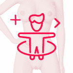 Caderas y cintura robot doll +330&nbsp;$
