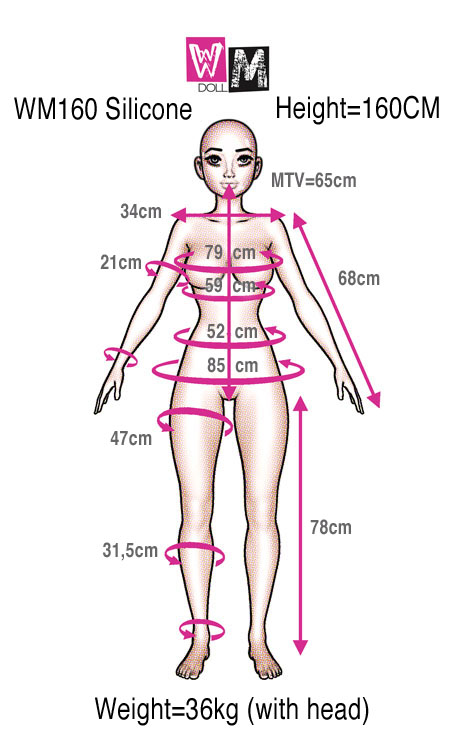 WM Silicone 160cm Measurements