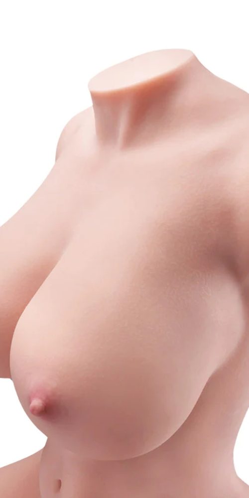 Torso Jennifer - Imagen 10