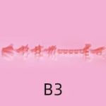 B3