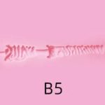 B5