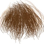 Castaño