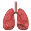 Respiración +280&nbsp;$