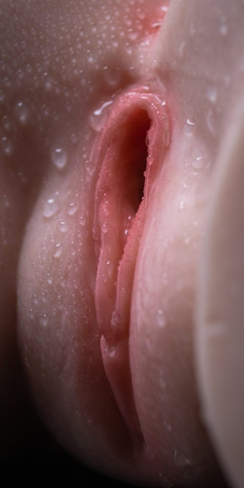 Torso Madison - Imagen 15