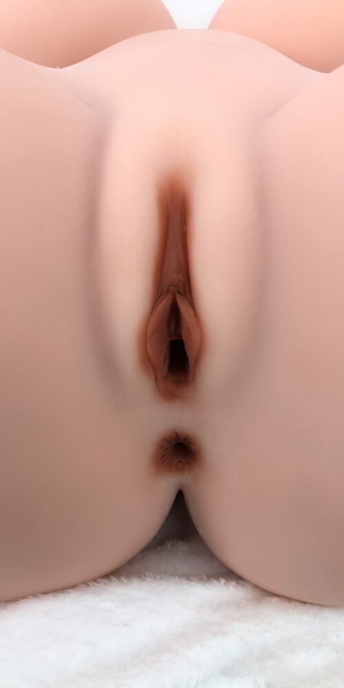 Torso Hazel - Imagen 19