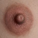 Misty Rose