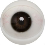 E01