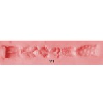 Vaginal 1