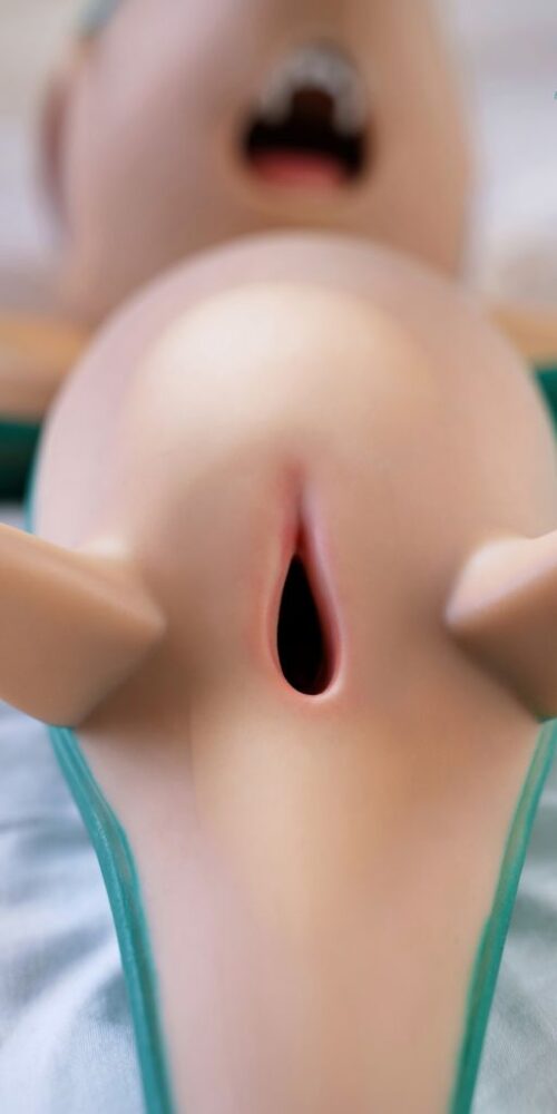 Snivy - Image 11