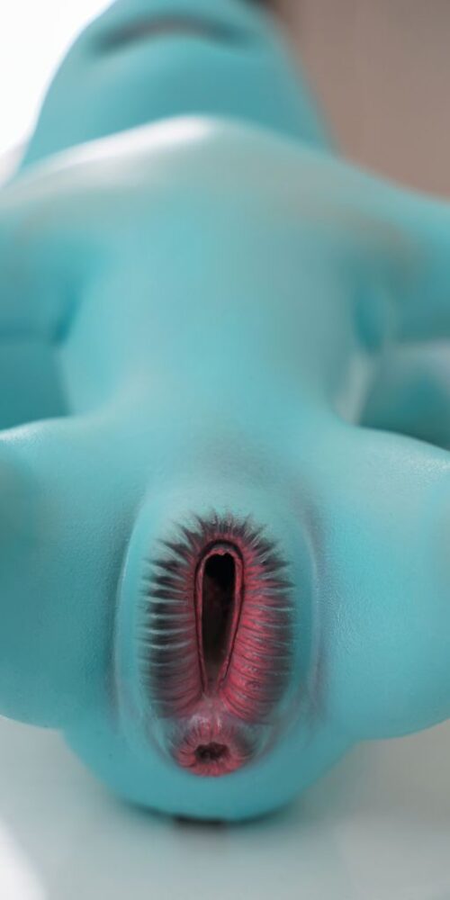 Pony - Imagen 14