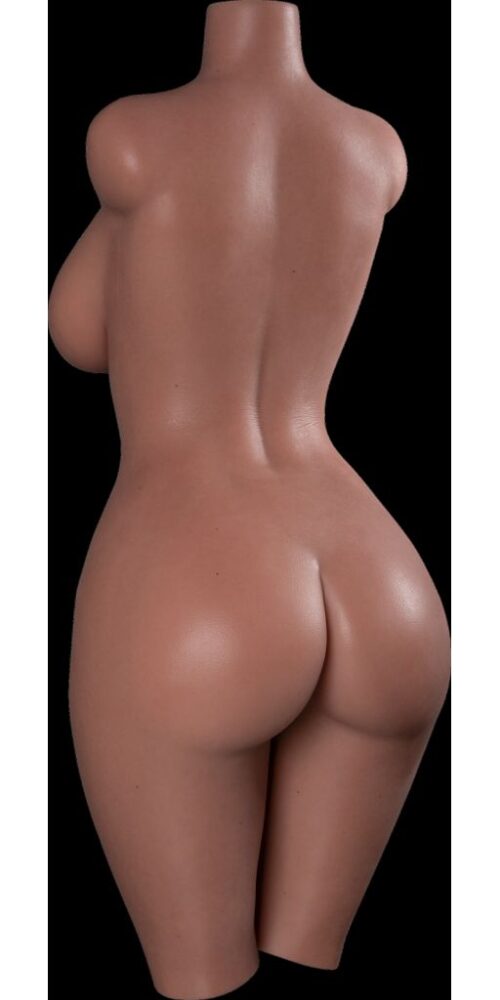 Torso Sasha - Image 17