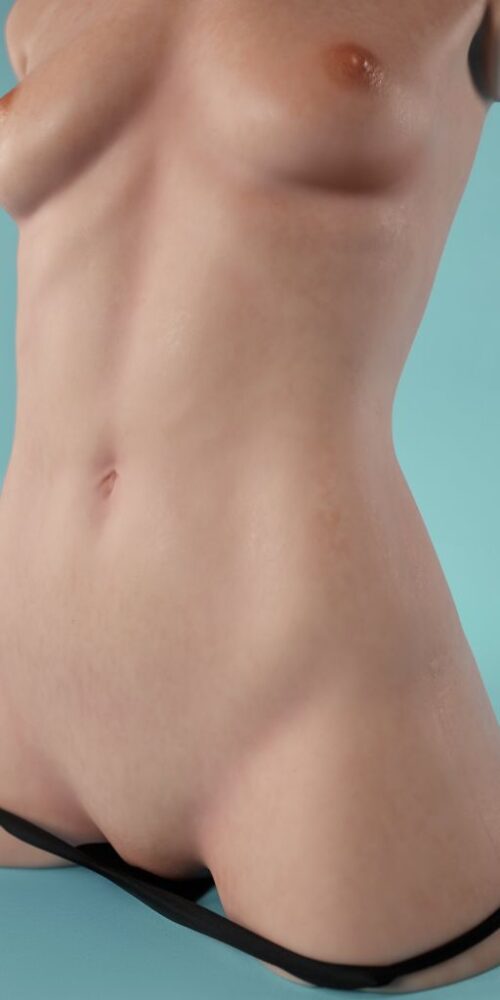 Torso Miyoshi - Imagen 13